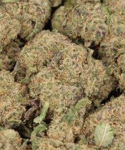 Alternative view of NYC Diesel