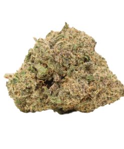 NYC Diesel Online