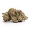 Oreoz AAA+ Online