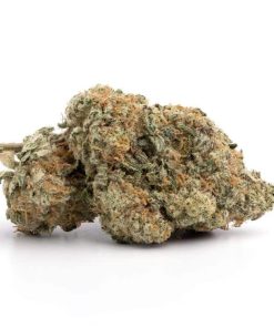 Oreoz AAA+ Online