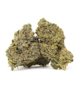 Platinum Cake Online