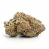 Bulk buds Supply