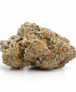 Bulk buds Supply