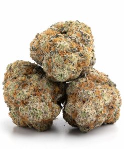 Alternative view of Blueberry Cupcake