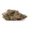 Bulk buds Supply
