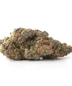 Bulk buds Supply