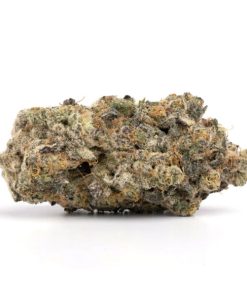 Bulk buds Supply