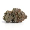 Bulk Buds Supply