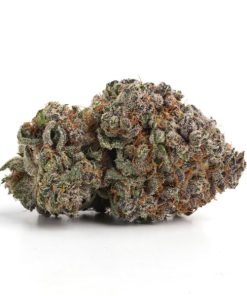 Bulk Buds Supply