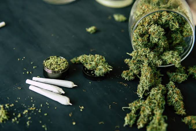 bulk buds supply