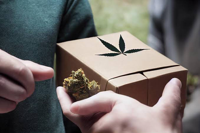 bulk buds supply