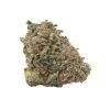 Bulk buds Supply