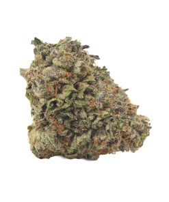 Bulk buds Supply