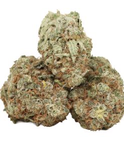 Alternative view of Blackberry Kush