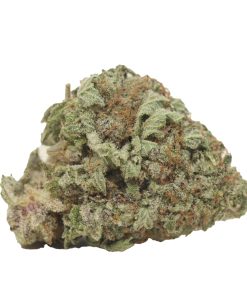 Blueberry Pie