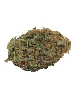 Death Gas