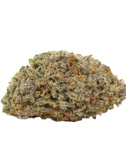 Bulk buds Supply