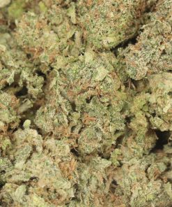 Alternative view of Lindsay OG
