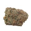 Bulk buds Supply