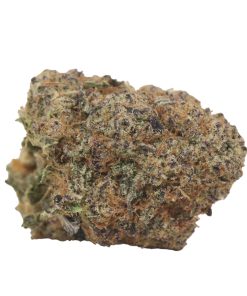 Bulk buds Supply