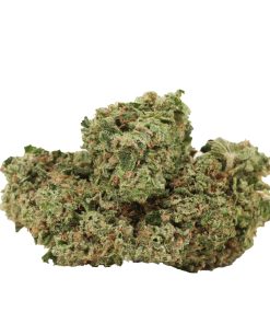 Alternative view of Pink Star