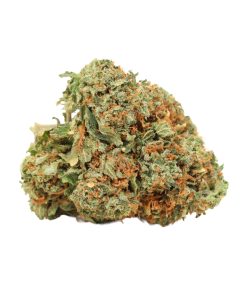 Bulk buds Supply