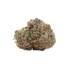 Bulk buds Supply
