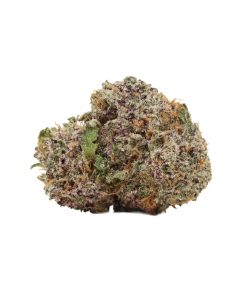 Bulk buds Supply