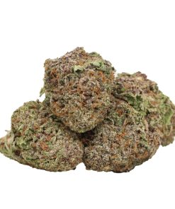 Alternative view of Purple Kush