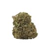 bulk buds supply