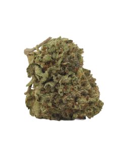 bulk buds supply