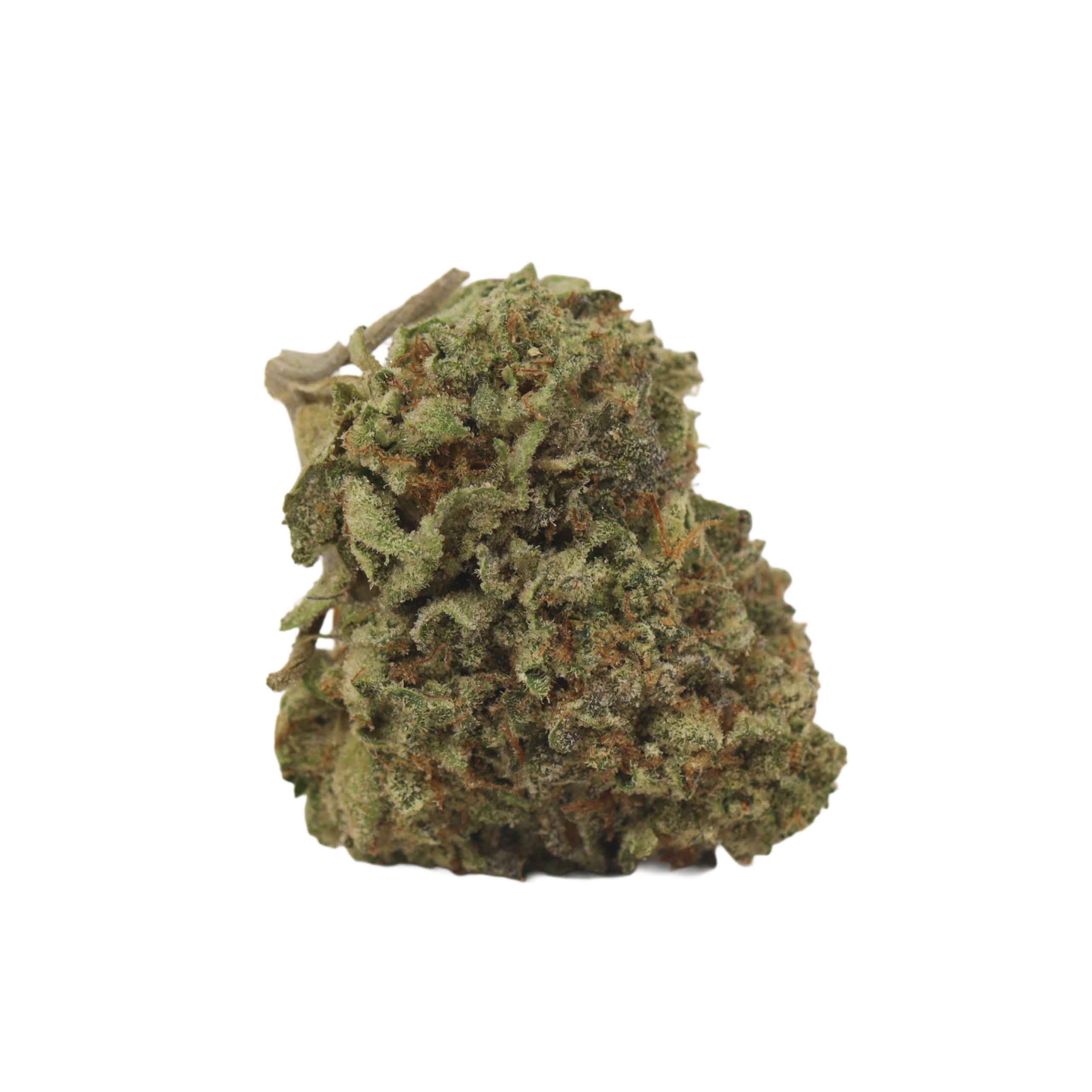 bulk buds supply