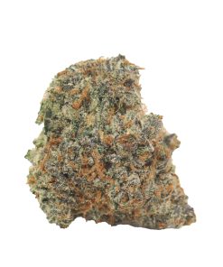 Bulk buds Supply
