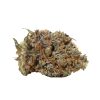 Bulk buds Supply