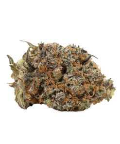 Bulk buds Supply