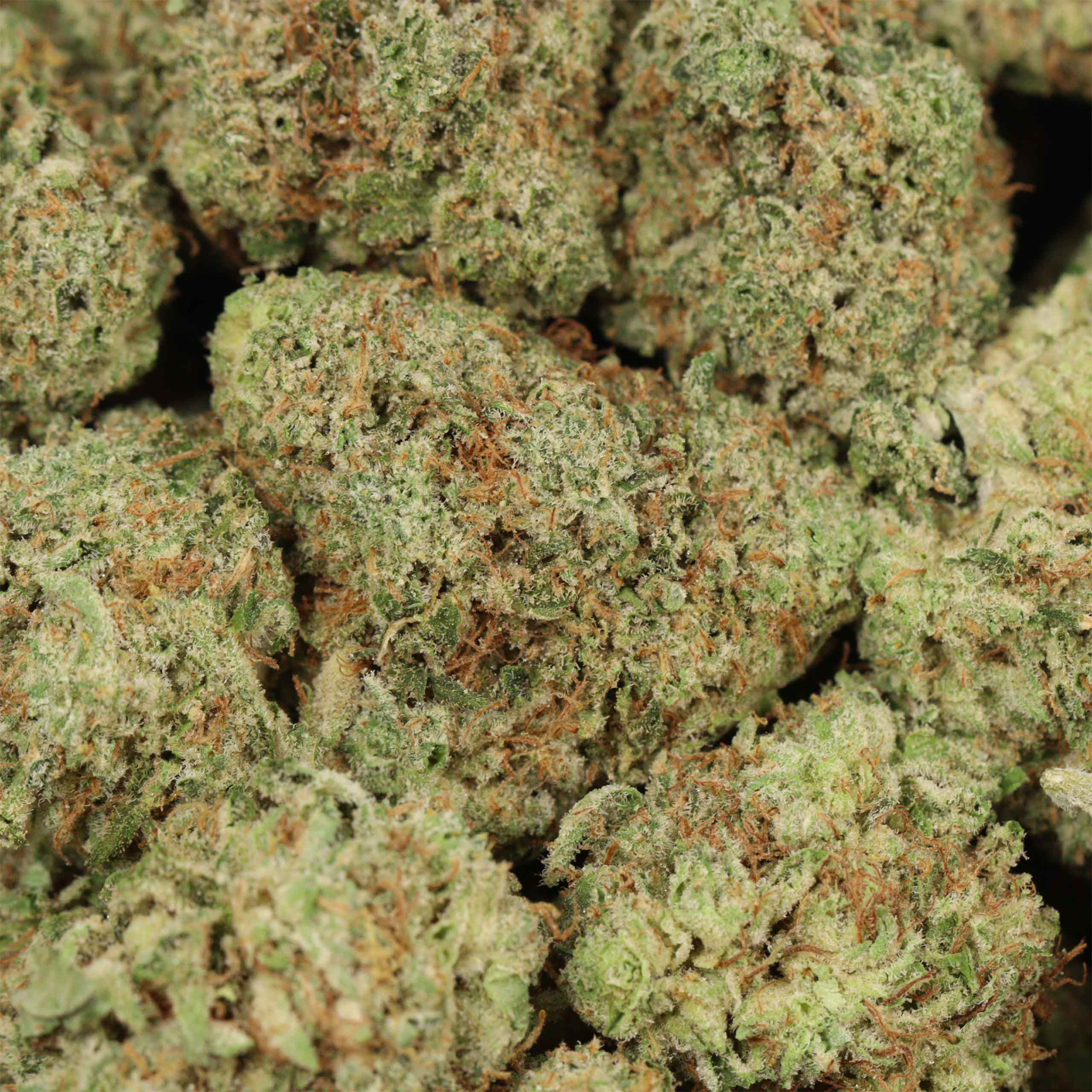 Sour Apple Killer - Image 3