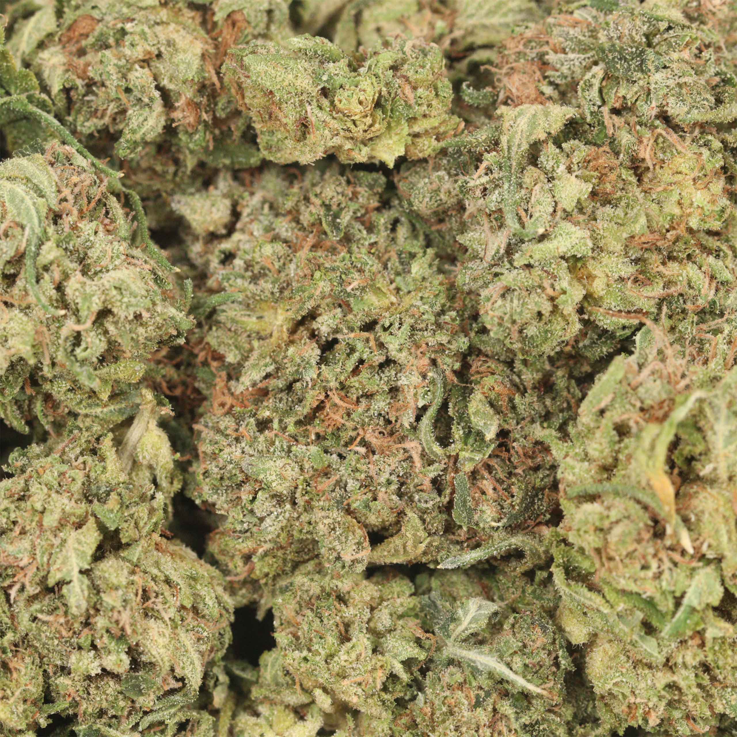 Stinky Pinky - Image 3