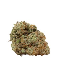 Bulk buds Supply