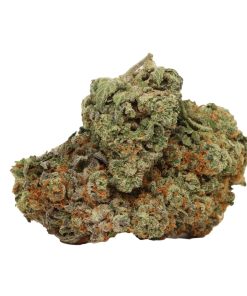 Alternative view of Tropicanna Banana