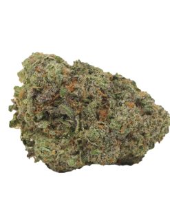 Bulk buds Supply