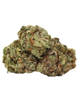 Alternative view of Tyson OG