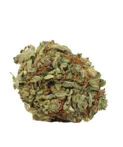 Tyson OG