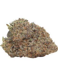 Bulk buds Supply