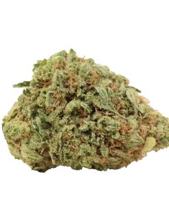 Violator Kush