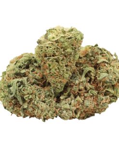 Alternative view of Violator Kush
